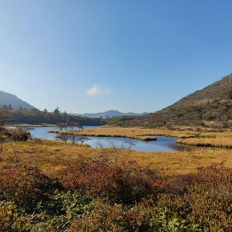 覚満淵