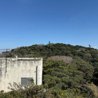 大楠山⛰️