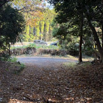 ようやく車道に出ました！

びわ湖バレイ営業中だったら
車はデポしてロープウェイ下山がよろしいかと