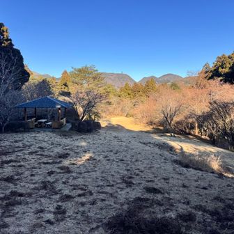 山頂はベンチ以外は特に何もありません。
そして看板もありませんでした💦