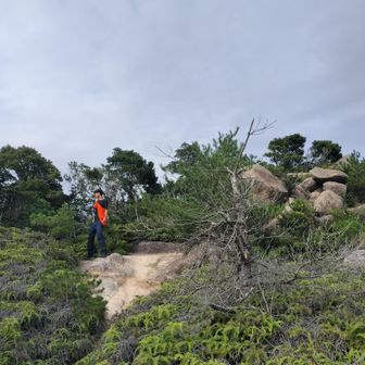 山頂を過ぎた絶景ポイントまで来て折り返す。