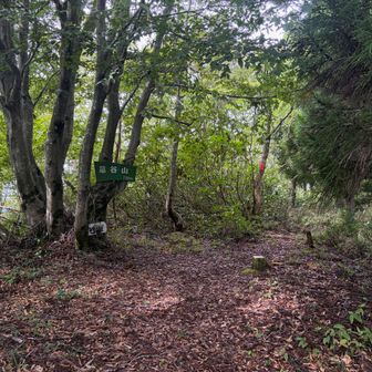 写真正面の赤い山名標識のほう下ってしまってミスコース。正解は写ってないけど写真左手の地味なほう…
