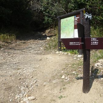 打越山方面へ登り返します♪