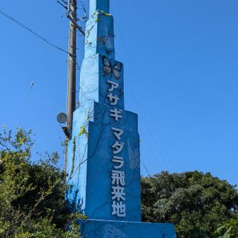 アサギマダラには出会えなかった🙄