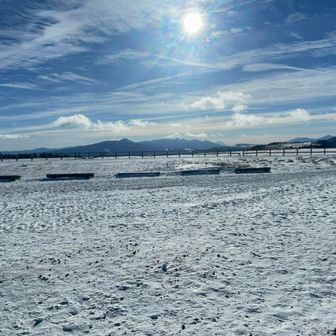 これぞ、美ヶ原❄️