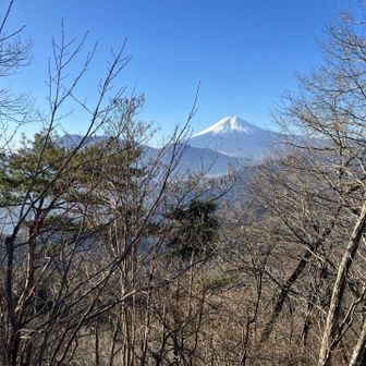 羽根子山前の道中