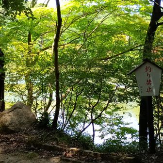 再度公園に到着！