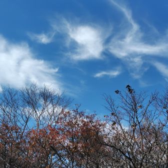 快晴