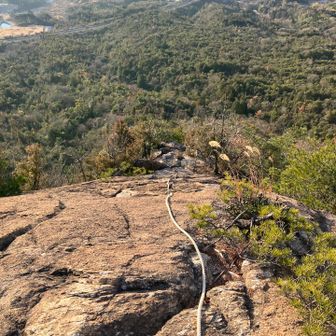 登ってきたロープ。こう見たら結構怖い。
