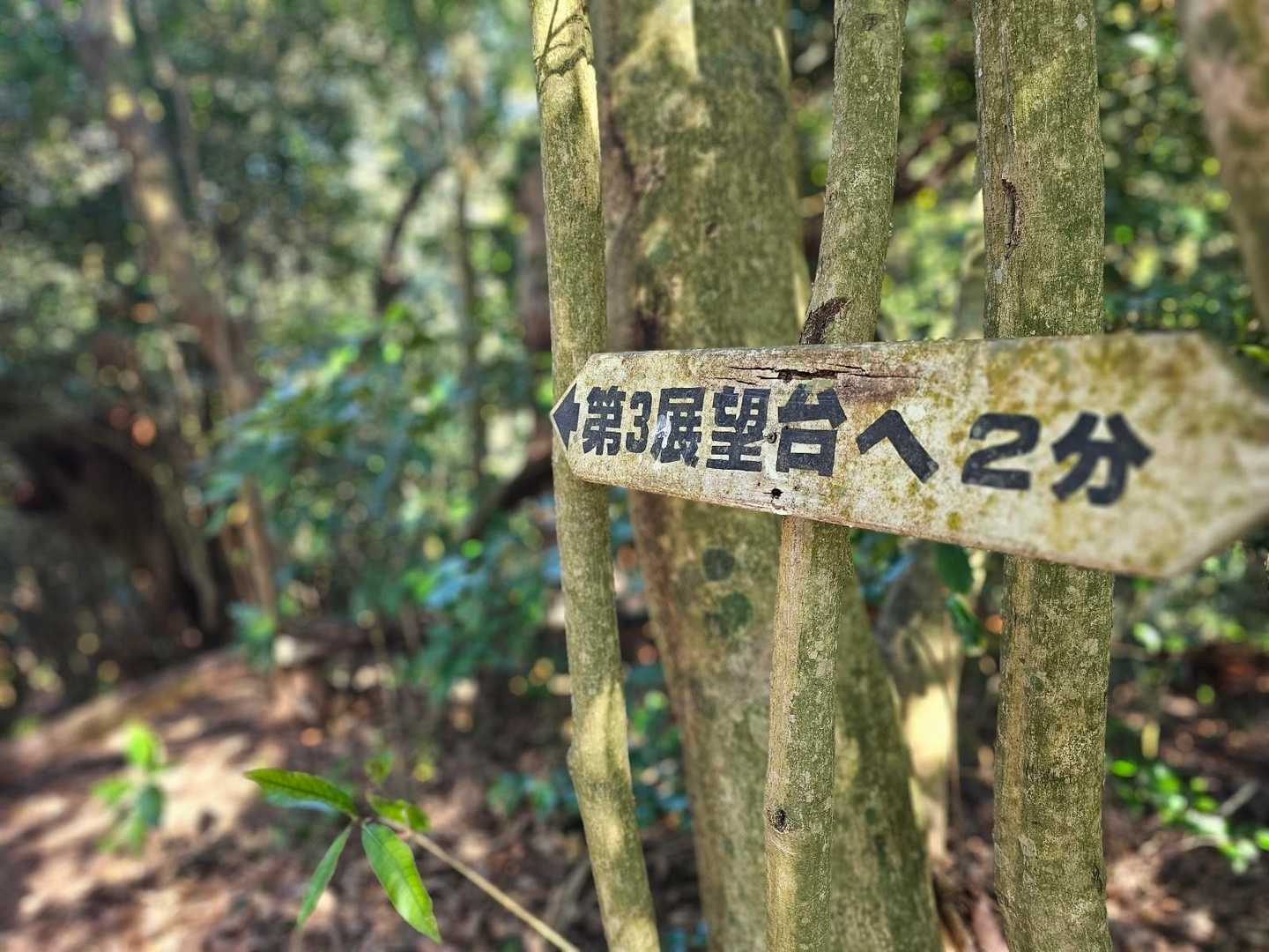 第３展望台へ