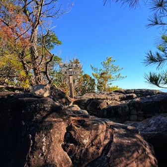 太郎丸嶽登頂⛰️