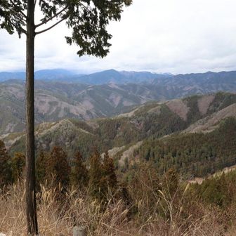 雲海も見られるらしい