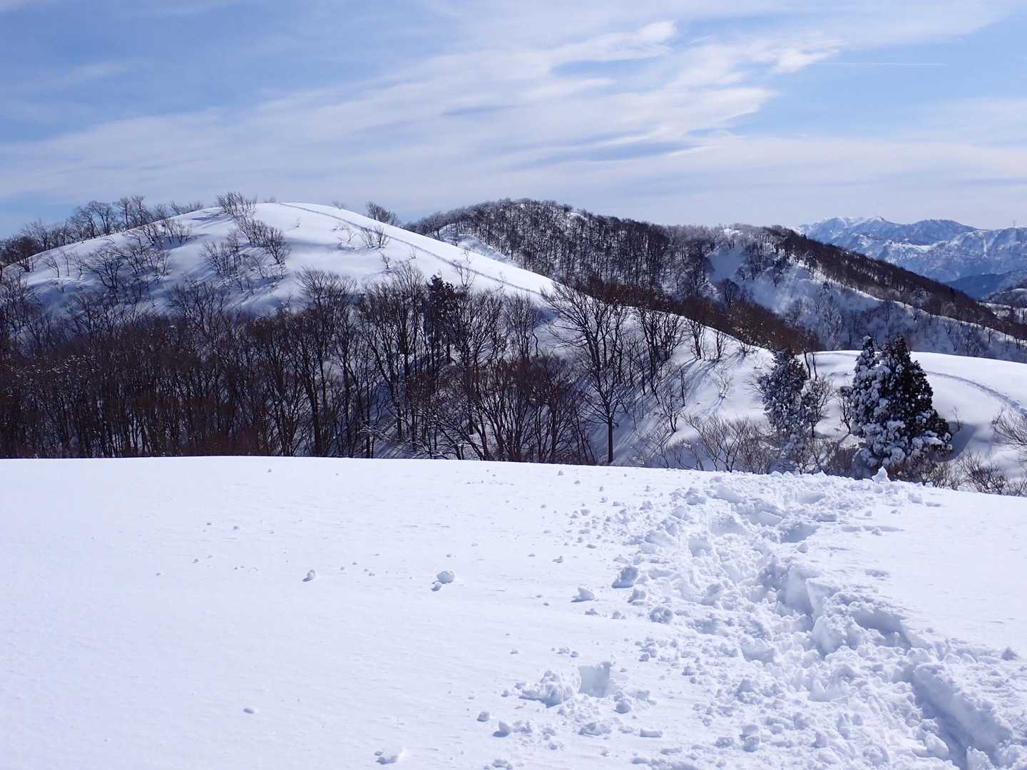 あそこが白兀山山頂だね。