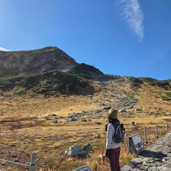 雄山方面と浄土山方面の分岐