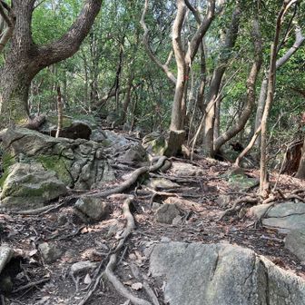 うっかり直登にきてモータ