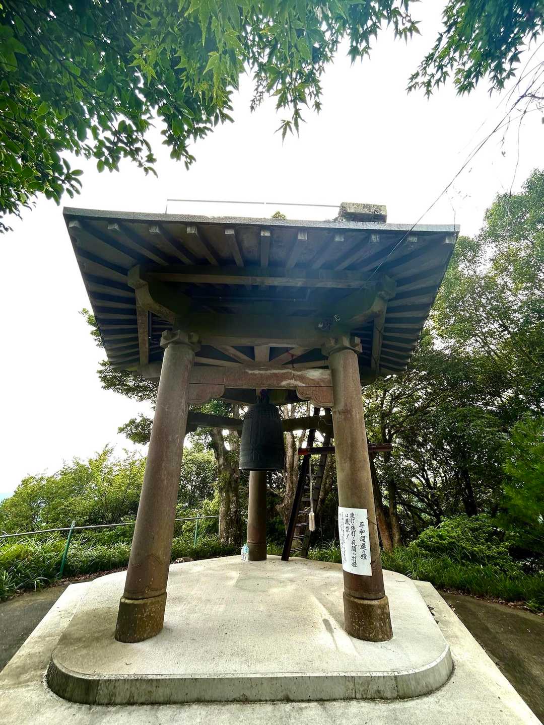 いきなり🔔あった〜😁
