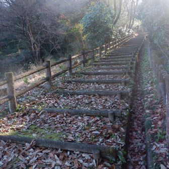 登山口から登ります。
