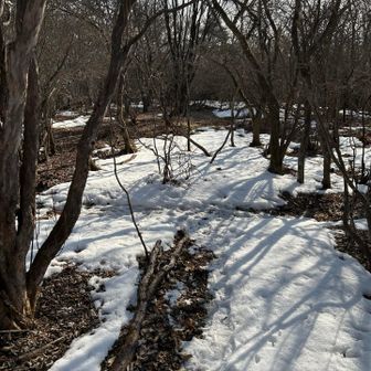 では戻る。ここがT字路。左が北、右が南