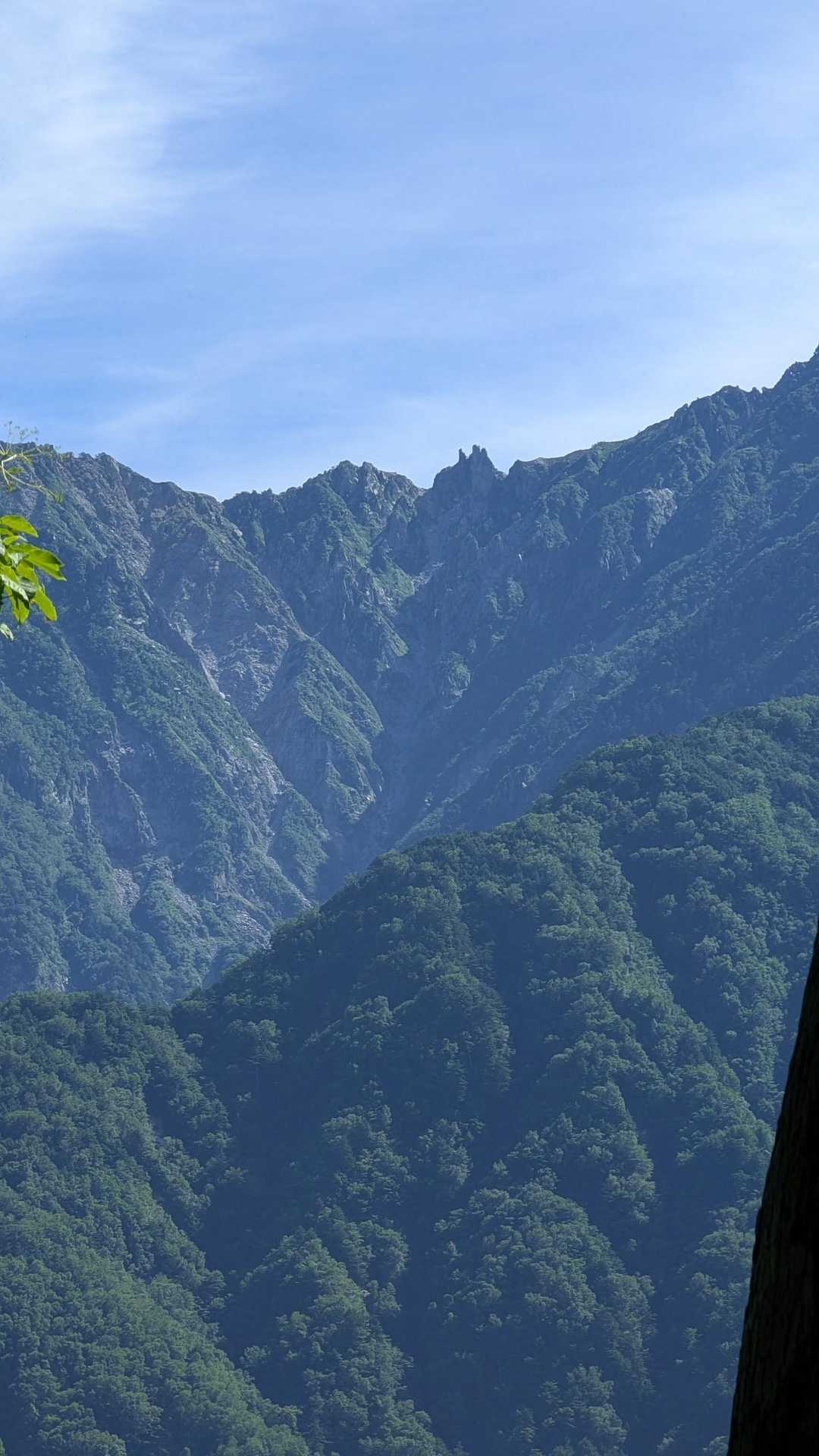 隙間から眺めてます