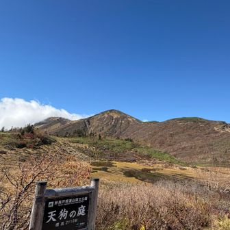 朝とは大違い
ピストンで戻ってきて良かった。
