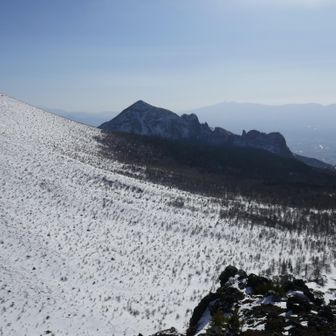 あっちからやってきたんだなあ。