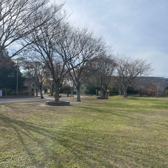 久々に“山の空気”を吸えて大満足😁