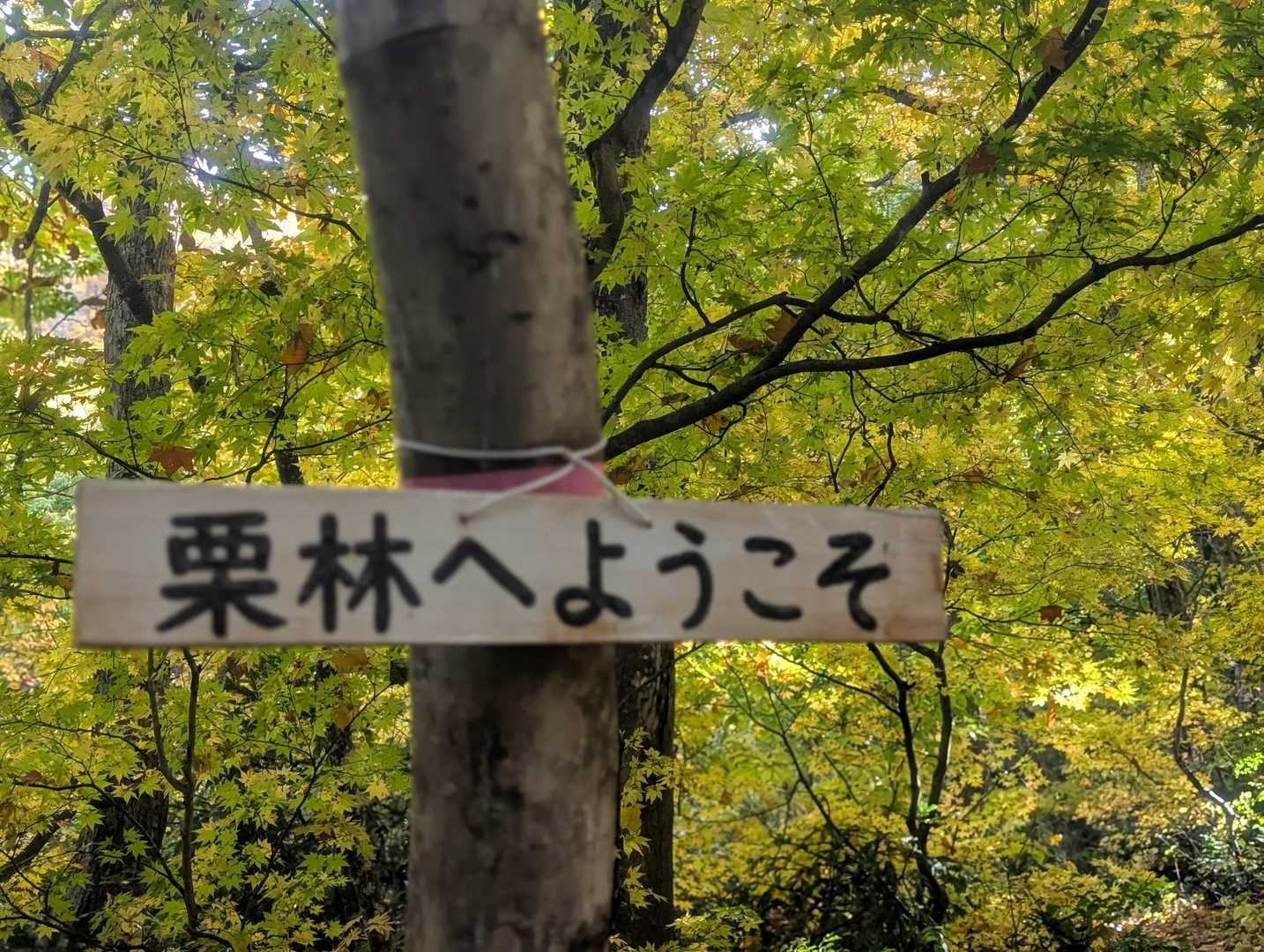こちらのお山の熊注意はこの辺らしいです🐻
会わなくてよかった。