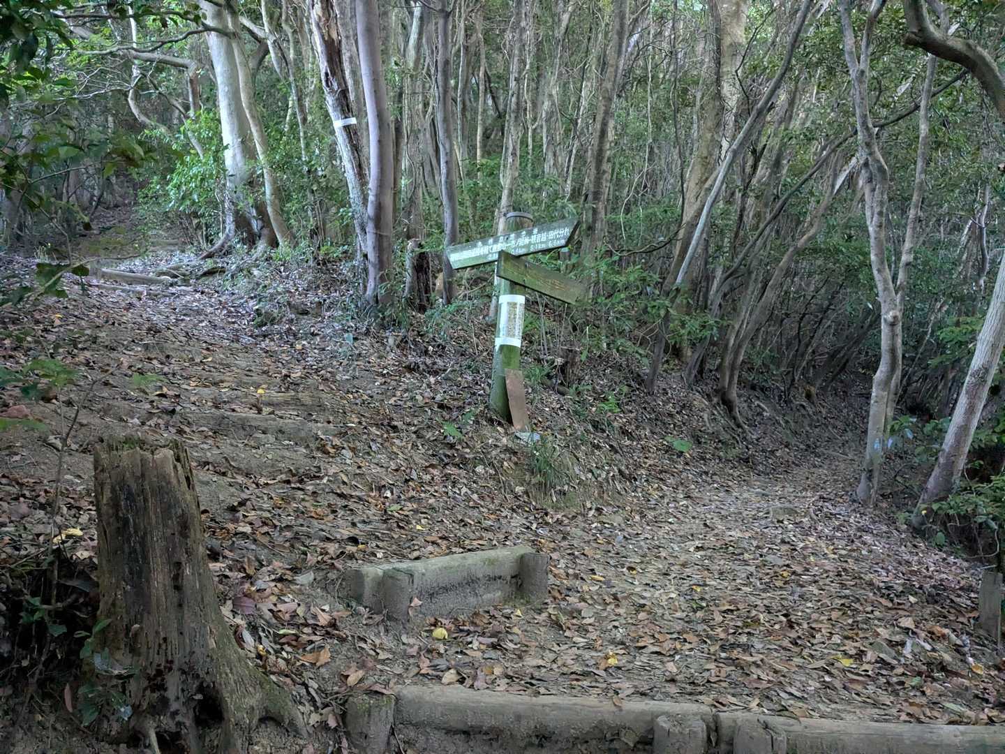 分岐，
