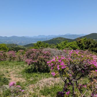 宿題を済ませに 経塚山🌸 / はくちゃんの登山データ | YAMAP / ヤマップ