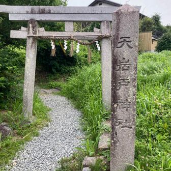 鳥居が小さいのよ〜