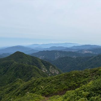緑濃い権ノ神岳と飯豊連峰