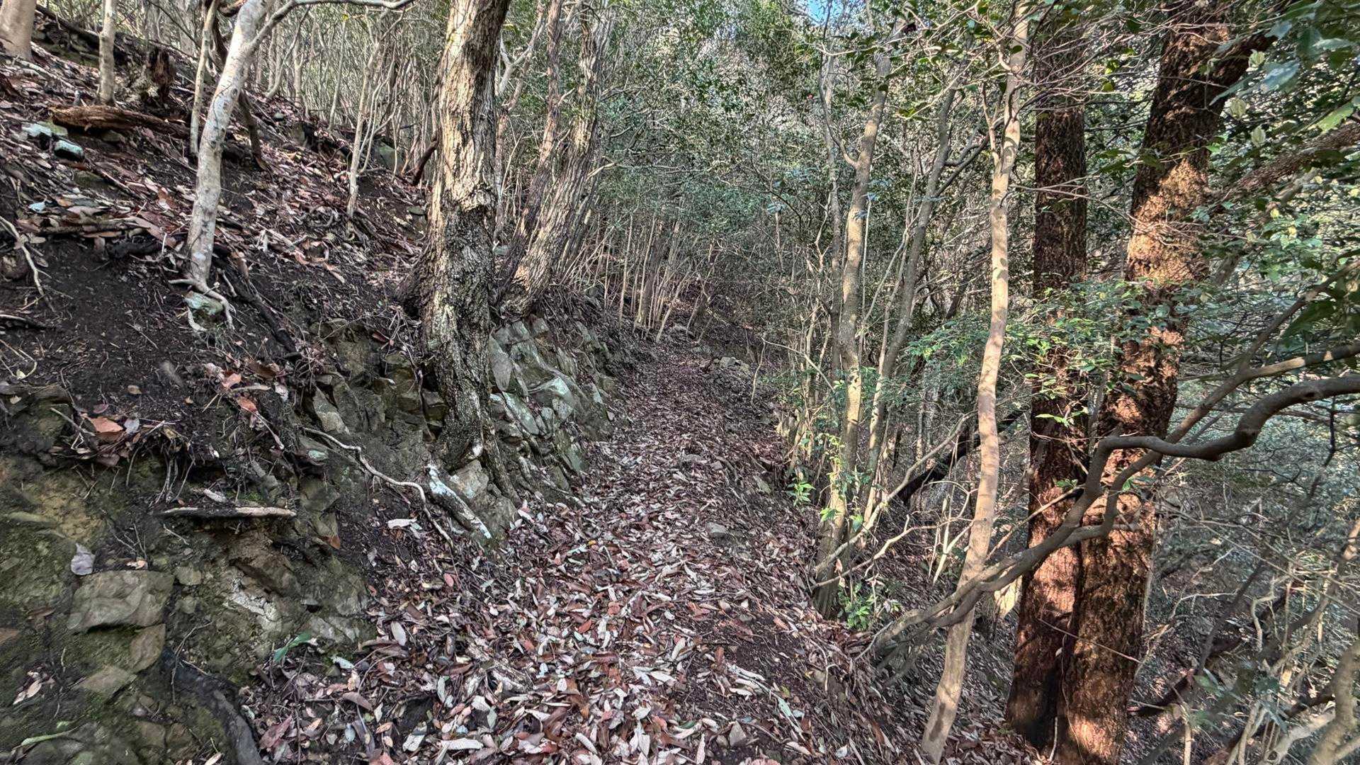 巡視路なので整備されてます♪
感謝です😊