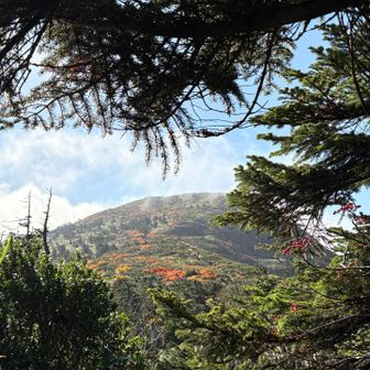 杉の峰は緑多めにポツン紅葉