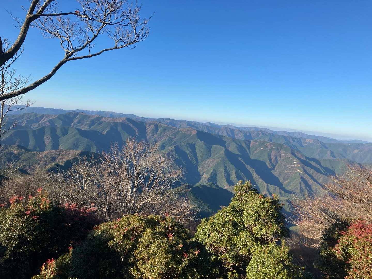 冷水山 往復コースの写真