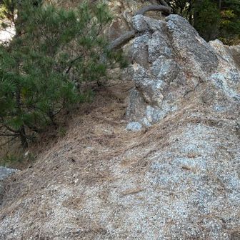 知ってたけど登るの？