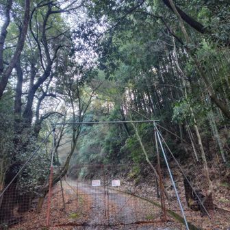 一度ゲート開けて行ったけど
引き返しました😅進むとYAMAP軌道外れるんで