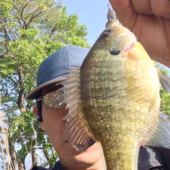 晴天ノーバイト