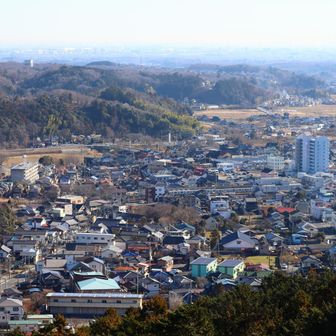 越生駅に電車が止まっていました。