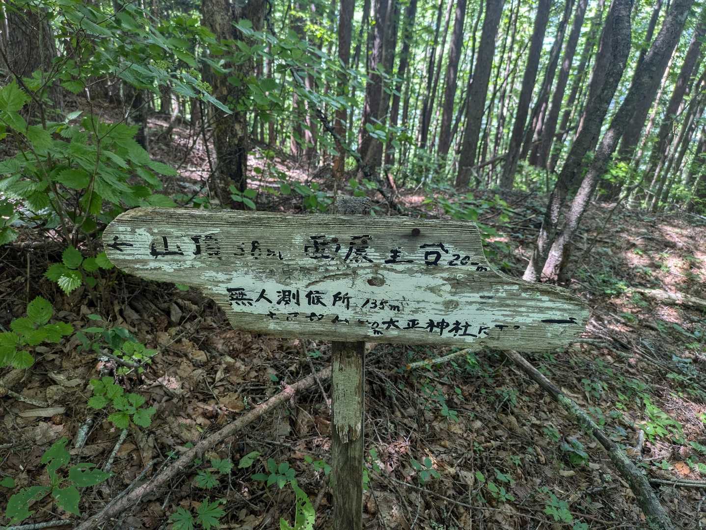網掛峠-網掛山 縦走コースの写真
