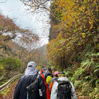 色々と毒吐かせて頂き、
少し心の整理ができた。(感謝です😭)
信越、斑尾、いろんなお話も聞けて楽しかった！