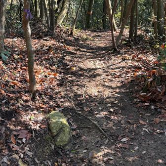 道標に従い北の丸方面へ。