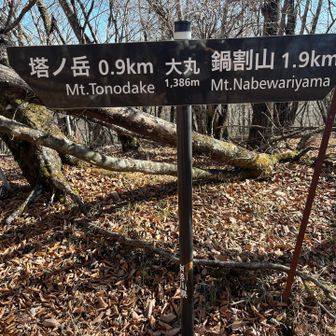 本日は金冷しから大倉尾根ではなく、鍋割山方面に進むます。
最初の難所は大丸の登り返し💦
えっちらおっちらなんとかクリア✌️