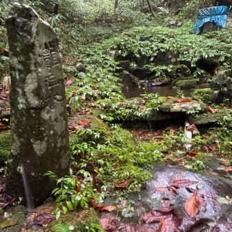 龍毛水