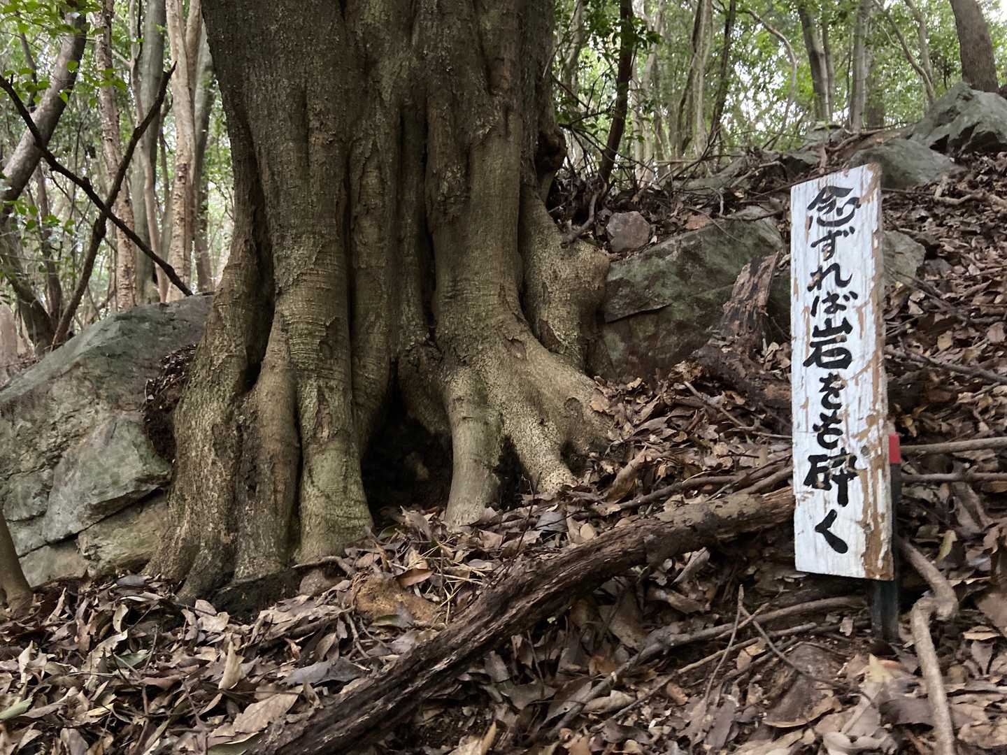よ〜し…
念ずれば体脂肪10%になれるかな😈