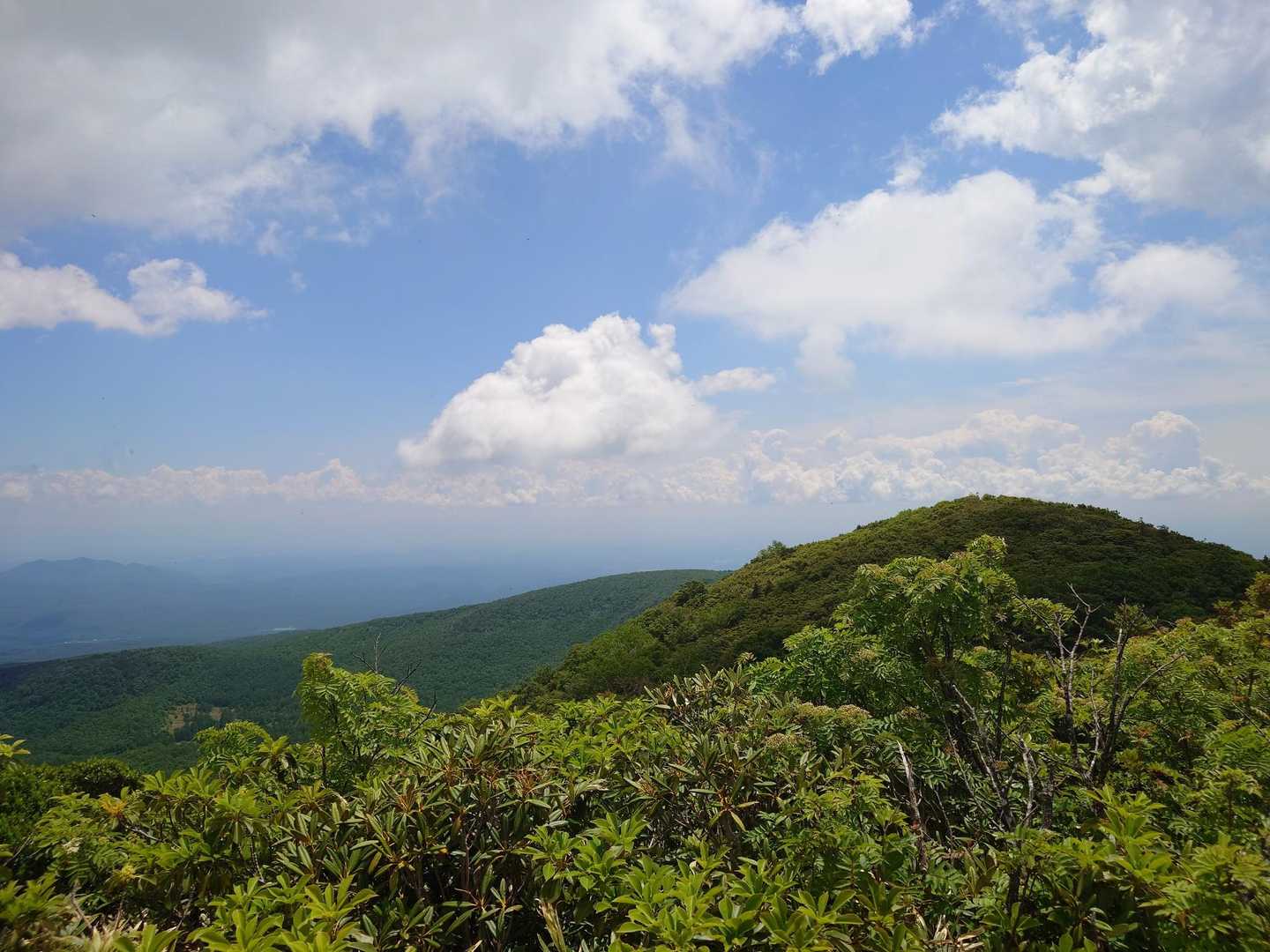 猿ヶ鼻-甲子峠-大白森山-甲子山 往復コースの写真