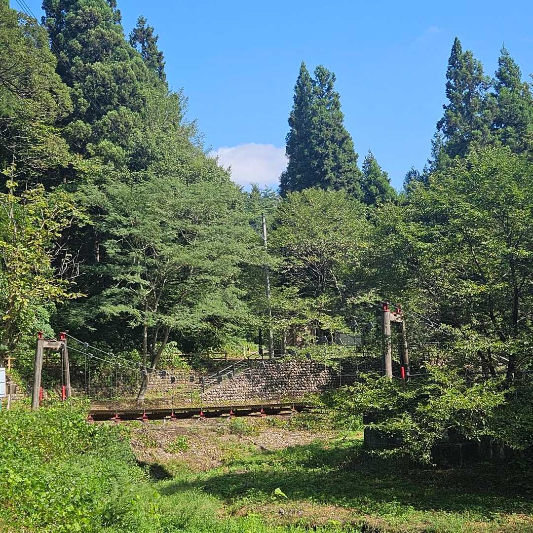 大沢公園スタート