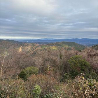 山側の景色も良き