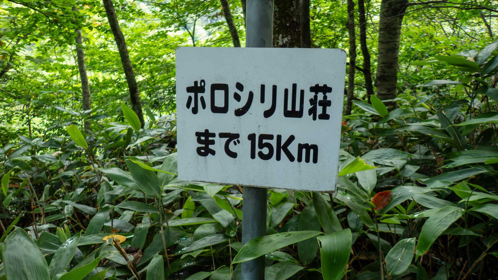 イドンナップ山荘から新冠ポロシリ山荘まで17.5kmあります。