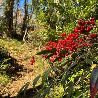 またまた鮮やか‼️
