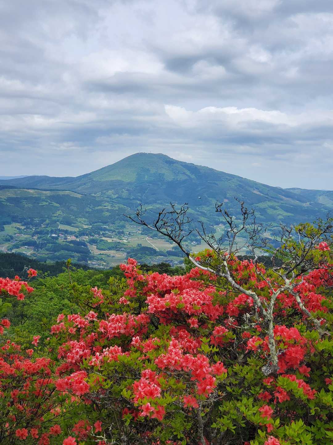 矢越山の写真
